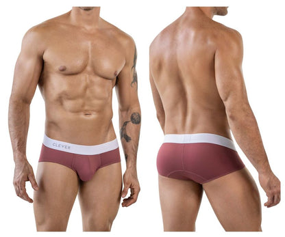 Clever 1863 Lecler Briefs Color Grape