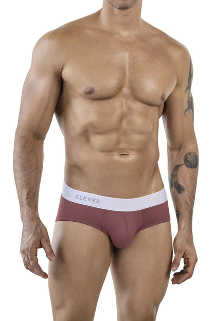 Clever 1863 Lecler Briefs Color Grape