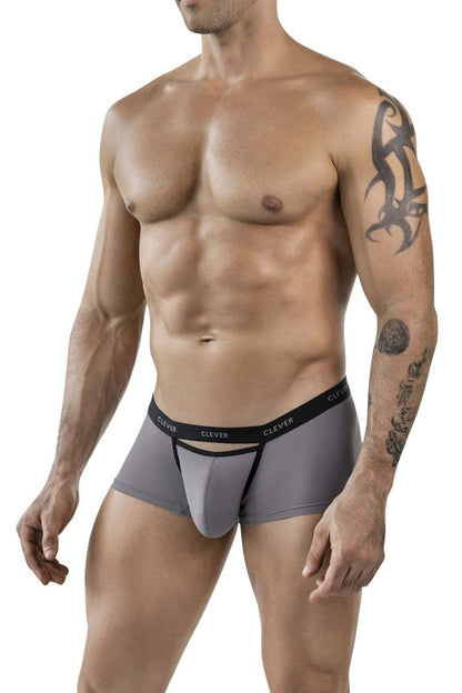 Clever 1866 Tokio Trunks Color Gray