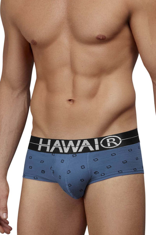 HAWAIR 42531 Cotton blend Briefs Color Blue Quartz