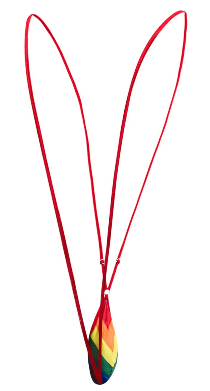 JUSTIN+SIMON Men's Underwear XSJ04 Sling Color Pride Flag